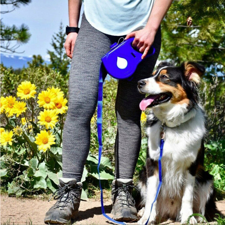 Multifunctional Automatic Retractable Pet Leash Portable Walking Strap