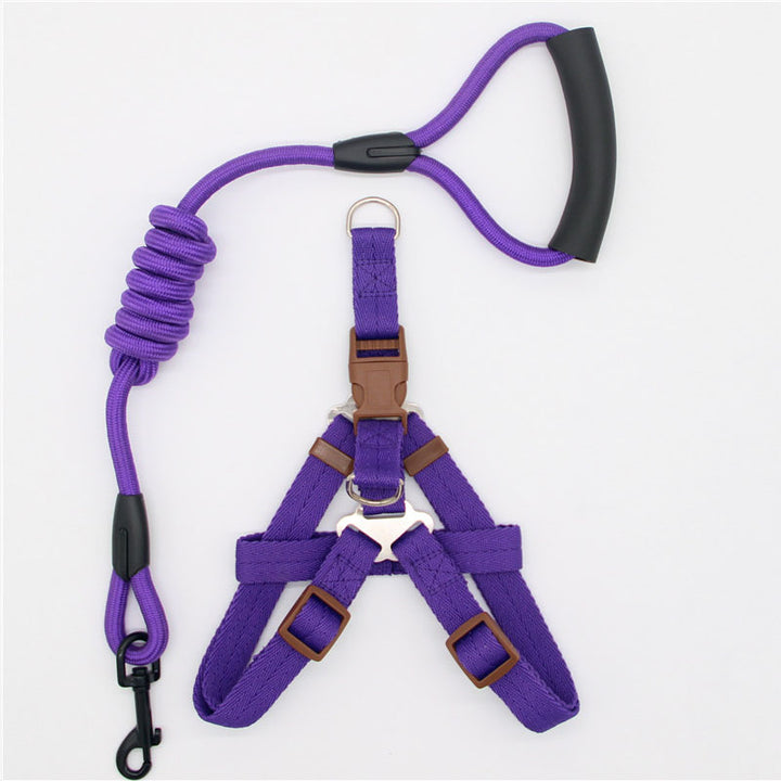 Simple Durable Pet Leash For Everyday Walking