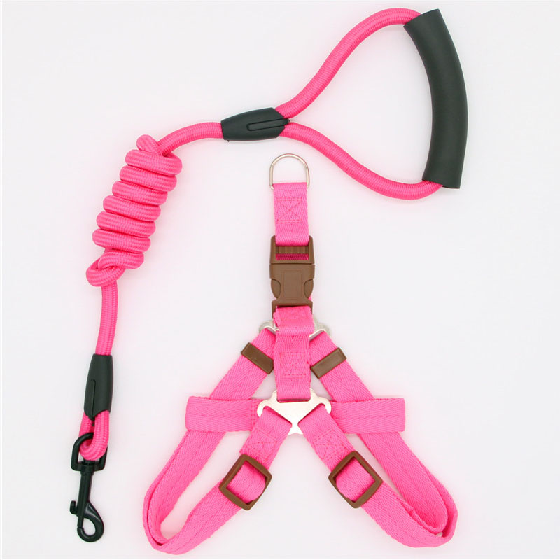 Simple Durable Pet Leash For Everyday Walking