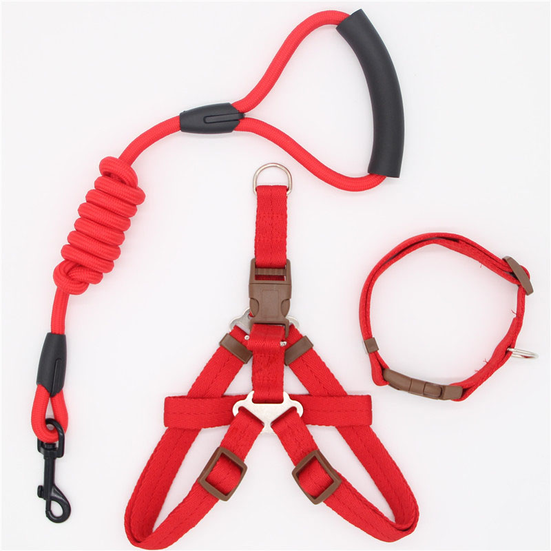 Simple Durable Pet Leash For Everyday Walking
