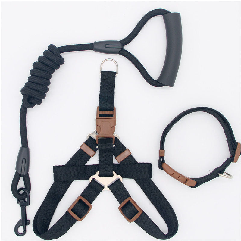 Simple Durable Pet Leash For Everyday Walking