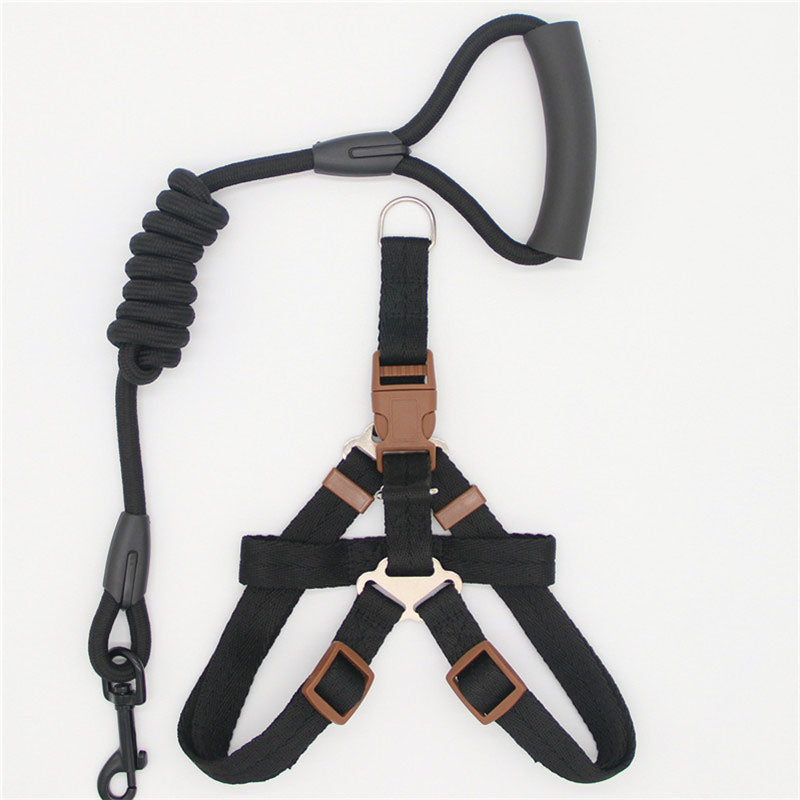 Simple Durable Pet Leash For Everyday Walking