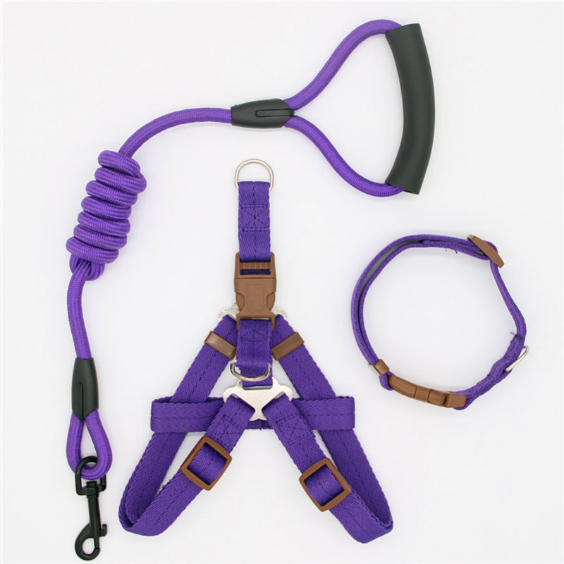 Simple Durable Pet Leash For Everyday Walking