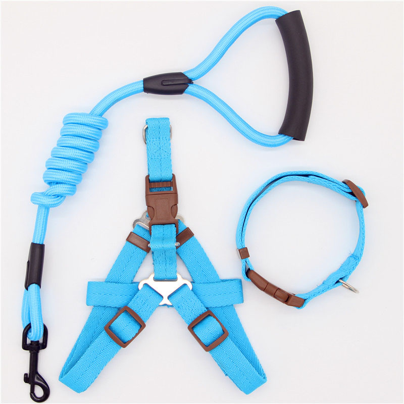 Simple Durable Pet Leash For Everyday Walking
