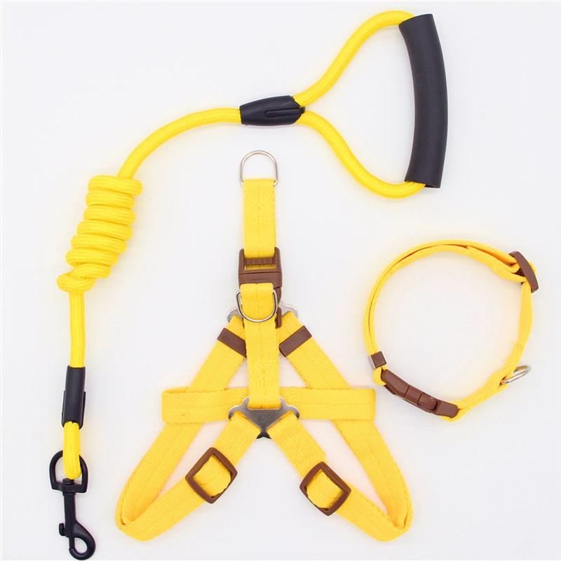 Simple Durable Pet Leash For Everyday Walking
