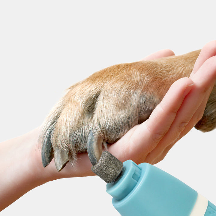 Dual-Purpose Pet Nail Polisher And Hair Trimmer For Home Use