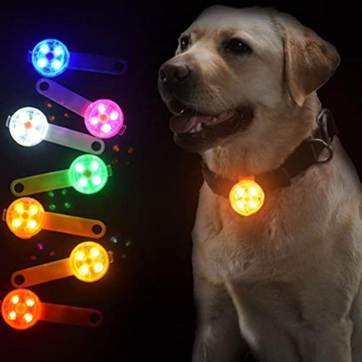 Glow Pendant Light For Pets Luminous Safety Accessory For Night Walking